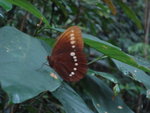 DSC00831