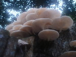 DSC00861