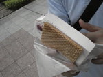 DSC00604