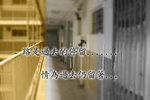 13 Dec 2009 黃大仙 001