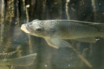 sDSC_9485