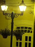DSC01231