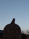 DSC02520