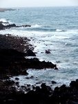 DSC02528