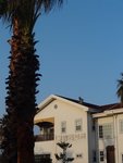 DSC02552