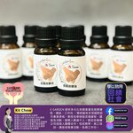 勵進義工隊