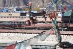Tibet 0005
