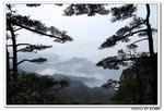 Mountain (11)