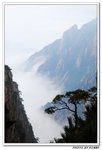Mountain (12)