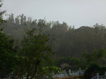 DSCF0663ss