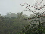 DSCF0664ss