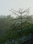 DSCF0665ss