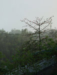 DSCF0666ss