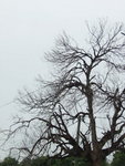 DSCF0962a