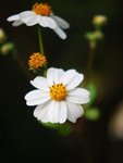 DSC_6901s