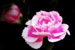 DSC_7108aa
