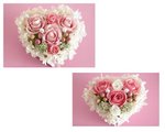 heart1