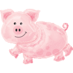 11062
