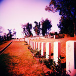 Holga 120