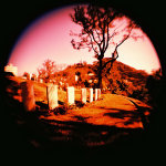 Holga 120 + Fish Eye