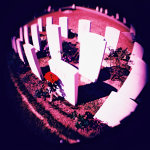 Holga 120 + Fish Eye