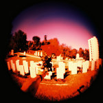 Holga 120 + Fish Eye