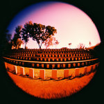 Holga 120 + Fish Eye