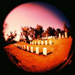 Holga 120 + Fish Eye