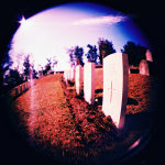 Holga 120 + Fish Eye