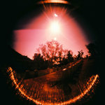 Holga 120 + Fish Eye