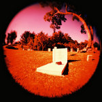 Holga 120 + Fish Eye