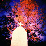 Holga 120