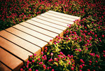 FUJICHROME RVP100F Velvia
