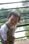IMG_8583r
