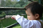 IMG_8586