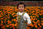 IMG_8626r
