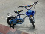 CIMG8677