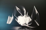 NZ5_1228