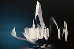 NZ5_1230