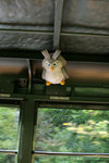 IMG_4644_low