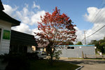 IMG_4667_low