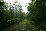 IMG_4737_low