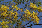 IMG_4746_low