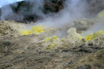 IMG_4876_low