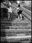 IMGP6320