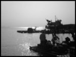 IMGP7101