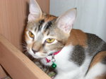 CIMG0280