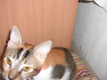 CIMG0282