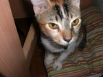 CIMG0283