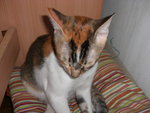 CIMG0284